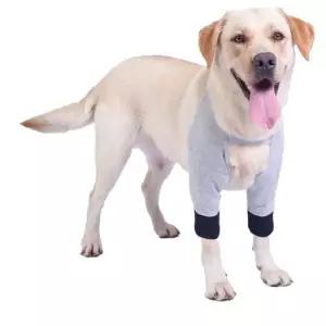 친절한탄씨 애견 강아지 무릎 보호대 다리 앞다리 보호 L XL 강아지 다리보호 앞다리보호 보조기