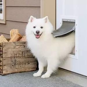 반려견 안전문 방묘문 대형견 고양이 강아지 베란다 방묘창