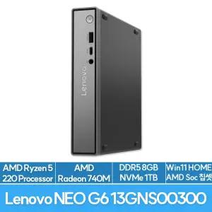 레노버 씽크센터 neo 55q Gen 6 13GNS00300 AMD R5 220 8G 1TB Win11Home 사무용 고성능 미니PC EU