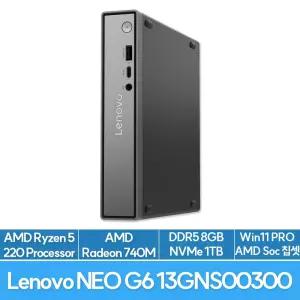 레노버 씽크센터 neo 55q Gen 6 13GNS00300 AMD R5 220 8G 1TB Win11PRO 사무용 고성능 미니PC EU