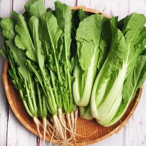 [포천발송] 포천발송 당일수확 제철 어린열무 2kg