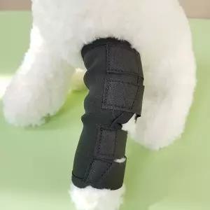 강아지 다리보호대 발목 탈구 탈골 깁스 반려동물