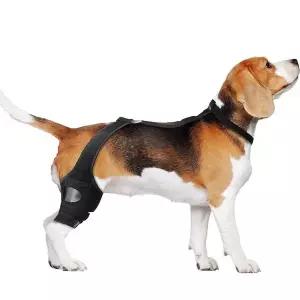 강아지 관절 슬개골 탈구 보호대 다리 깁스 애견 S