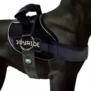 조이라이드 하네스 2.0 - 소형 중형 및 대형견을 위한 오리지널 사이드 링 노 풀 도그 초크 탈출 방지