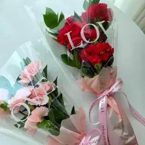 카네이션 꽃다발 생화 5송이 어버이날 스승의날 감사 선물 꽃배달