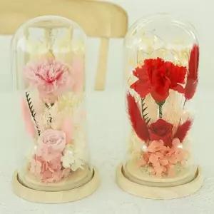 프리저브드 플라워 카네이션 장미 2송이 LED 무드등 인테리어소품