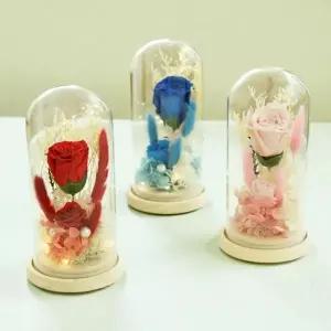 시들지않는 플라워 카네이션 장미 2송이 LED 무드등 인테리어소품