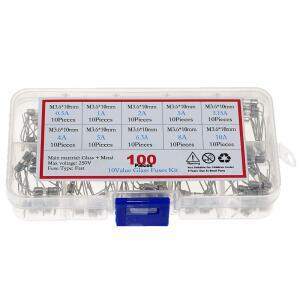 이중 아이언 캡 축 슬로우 유리 퓨즈 리드 와이어 포함 100 개 종류 x 3.6x10mm 250V 0.5A 1A 2A 3A 3.15A