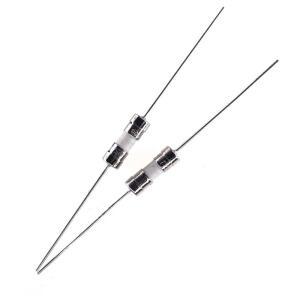 10pcs 3.6x10mm 세라믹 퓨즈 튜브 느린 브레이크 고속 리드 핀 1A23.1556.3810A 250V