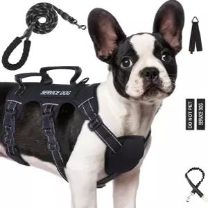 대형 중형견용 탈출 방지 개 하네스 6점 조절 가능 서비스 조끼 및 목줄 세트 손잡이가 있는 당김 없음