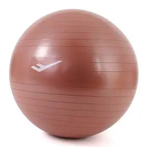 [콩심팥심]짐볼 안티버스트짐볼 75cm (브론즈) 마사지볼