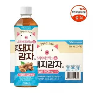 [본사직영] 광동 돼지감자차 500ml 24입 (유/무라벨 랜덤발송)