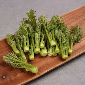 참두릅 옆순 소사이즈 1kg x 2