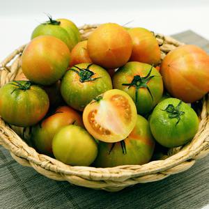 이룸팜스 부산 대저 짭짤이 토마토 2.5kg