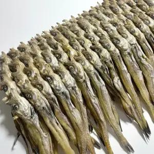 명태 줄노가리 60급,80급,100급,120급 100마리 모음