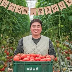 정읍 따옴농장 완숙토마토 소과 2.5kg
