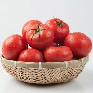 완숙토마토 찰토마토 못난이 주스용 3kg 5kg