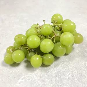 달콤아삭 고당도 애플청포도 2kg 씨없는 포도