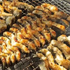 국내산 자포니카 민물장어 1kg 1-3미(손질후 700g 내외, 생강+소스 2)