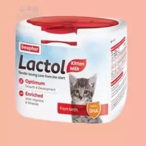 새끼 고양이 분유 파우더 아기고양이우유 분말 어린고양이 키튼