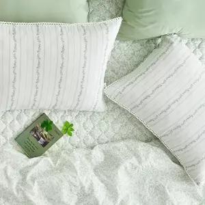 [클라르하임](강남점)[신세계 Only]그린비 60수 고밀도 워싱면·모달 베개커버 L