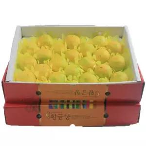 제주 로얄과 황금향 3KG 선물용 22수내 ? 황금향 레드향 한라봉 귤