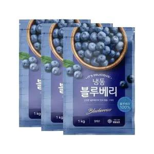 베리칠레 IQF 프리미엄 냉동 블루베리 칠레산 3kg (1kgX3개)