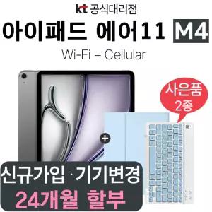 Apple 아이패드 에어 11 M4 블루 512GB WiFi 셀룰러