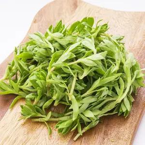 국내산 돌나물 1kg
