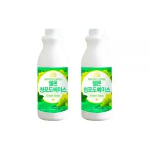 쉘몬 청포도 베이스 과일 농축액 에이드 1kg 2개