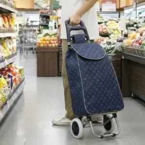 마트 쇼핑 캐리어 가방 시 장바구니 시장 카트 바퀴 쇼핑카트 접이식 바퀴달린 2color