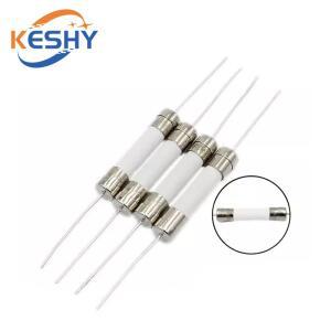 10PCS 630mm 세라믹 퓨즈 빠른 느린 블로우 튜브 핀 6X30MM 250V 8A 10A 12A 15A 20A 25A 30A