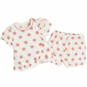 [보리보리/모이몰른]딜리쿨에버반팔상하 M242NNN50P