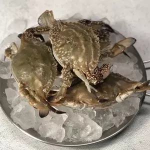 [자연맛남][산지직송] 국내산 제철 활 암꽃게 3kg 9-15미