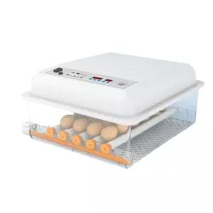 병아리 소형 알 조류 계란 메츄리 부화기 오리