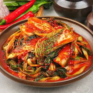 국산재료 사용 HACCP 당일제조 전라도 얼갈이김치 5kg