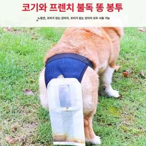 외출 산책 강아지 40개 애완견 기저귀