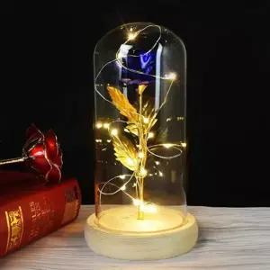 황금장미 카네이션 LED 무드등 유리돔 금장미 플라워 조명 인테리어 선물 기념일 감성 분위기 집들이 장식