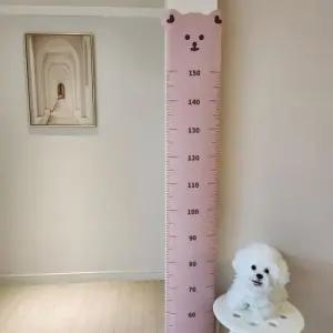 학교 벽부착 키재기 줄자 곰돌이