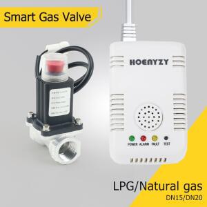 1/2 3/4 스마트 석탄 CH4 천연 가스 경보 솔레노이드 밸브 파이프 라인 DN15 DN20 누설 감지기 센서 자동 차단