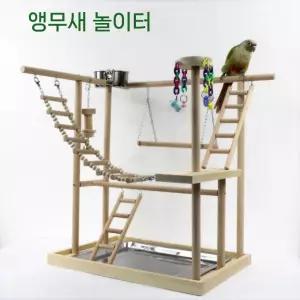 앵무새 코뉴어 놀이터 D타입 사랑앵무 카이큐