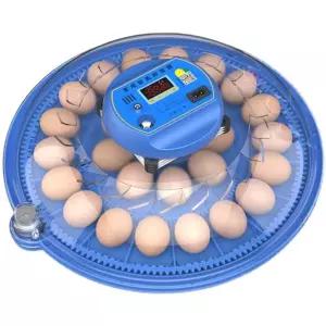 스마트 계란 부화기 단일 8개 자동 배터리 완전 메추리