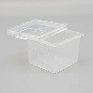 친절한탄씨 WL 파충류 도마뱀 사육장 곤충 거북이 달팽이 밀웜 집 C2 크리스티드게코사육장