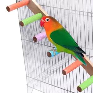 조류사다리 앵무새 놀이터 조류장난감