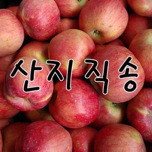 부사 사과 10kg 쥬스용 대용량 알뜰사과