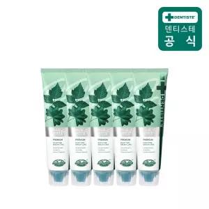 [덴티스테] 최신상 불소치약 플러스화이트 프로 100g 5개