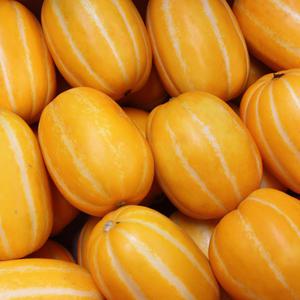 달콤한 가정용 성주 꿀 참외 10kg