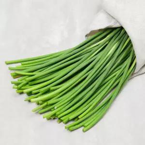 마늘쫑 500g