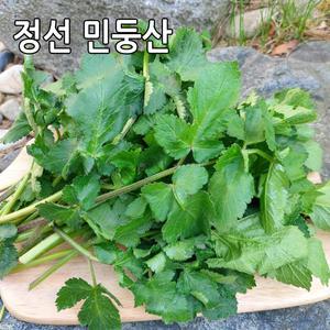 강원도 정선 민둥산 어수리나물 4kg 어수리 노지재배 산나물