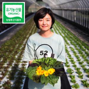 [순창 유기농 쌈채소] 당일수확 모듬 쌈채소 1kg 상추 케일 6~8종